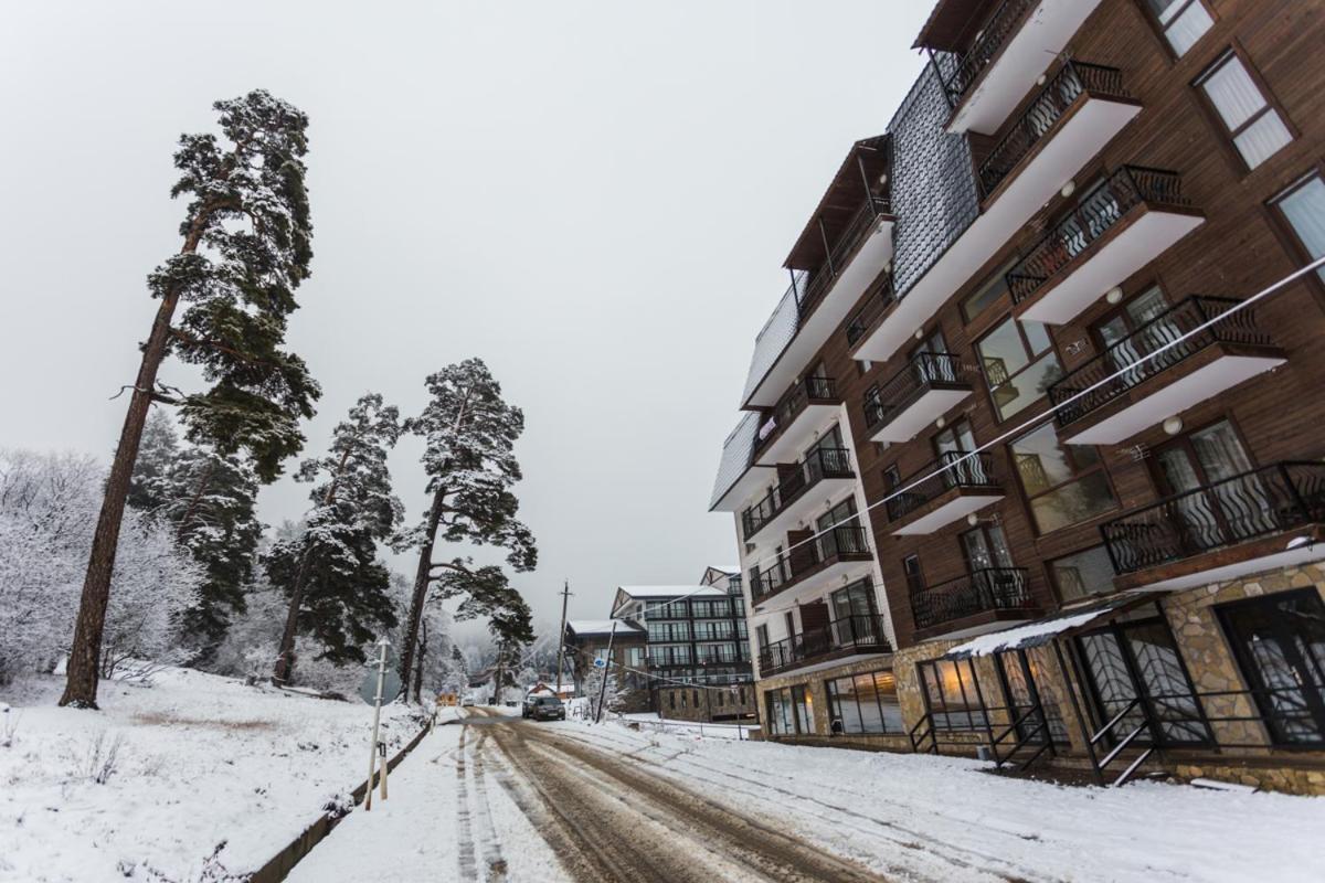 2 Room Cozy Apartment In Bakuriani Exterior photo